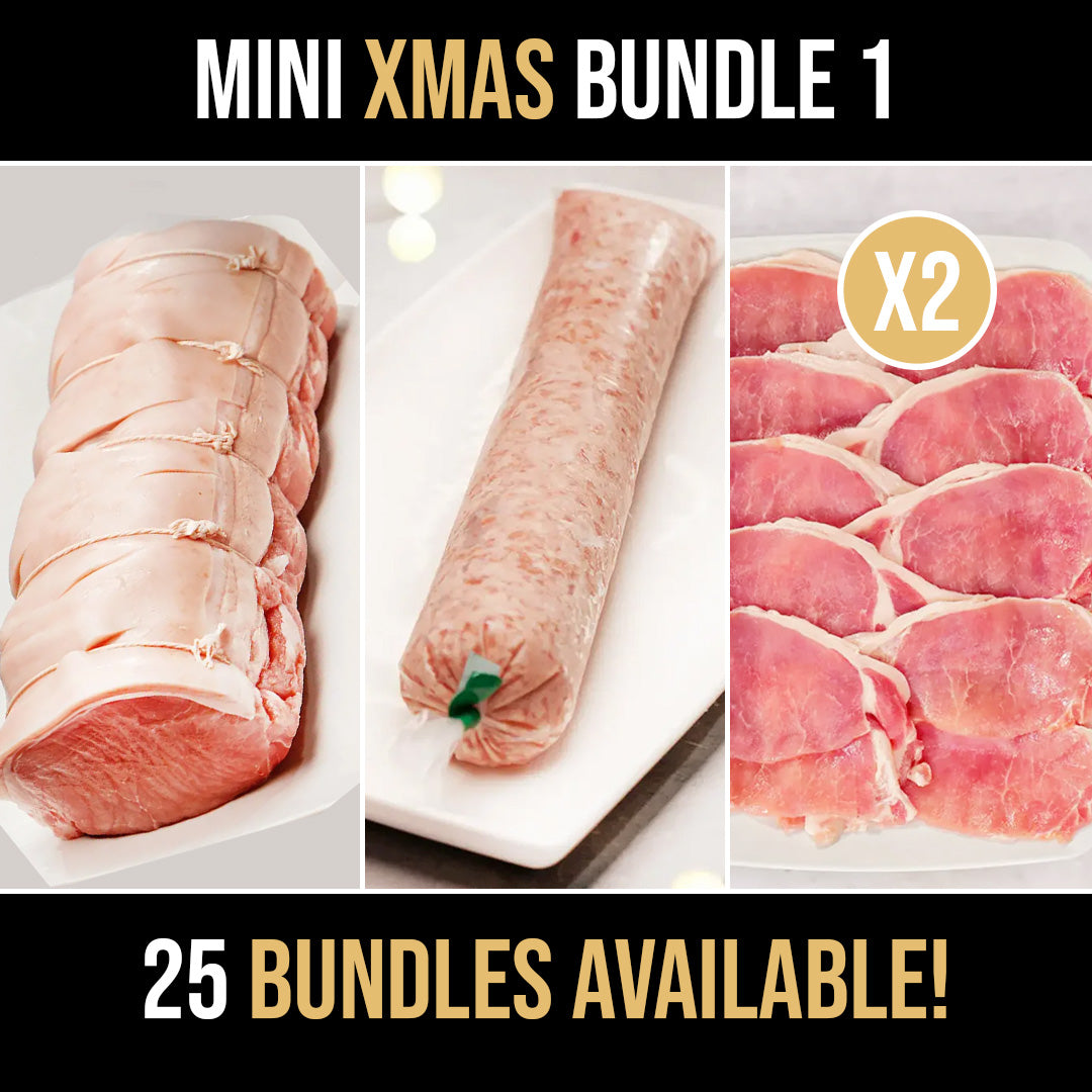 Mini Xmas Bundle