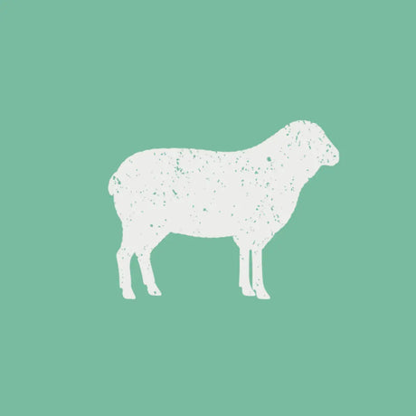 LAMB SALE