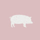 All Pork Products